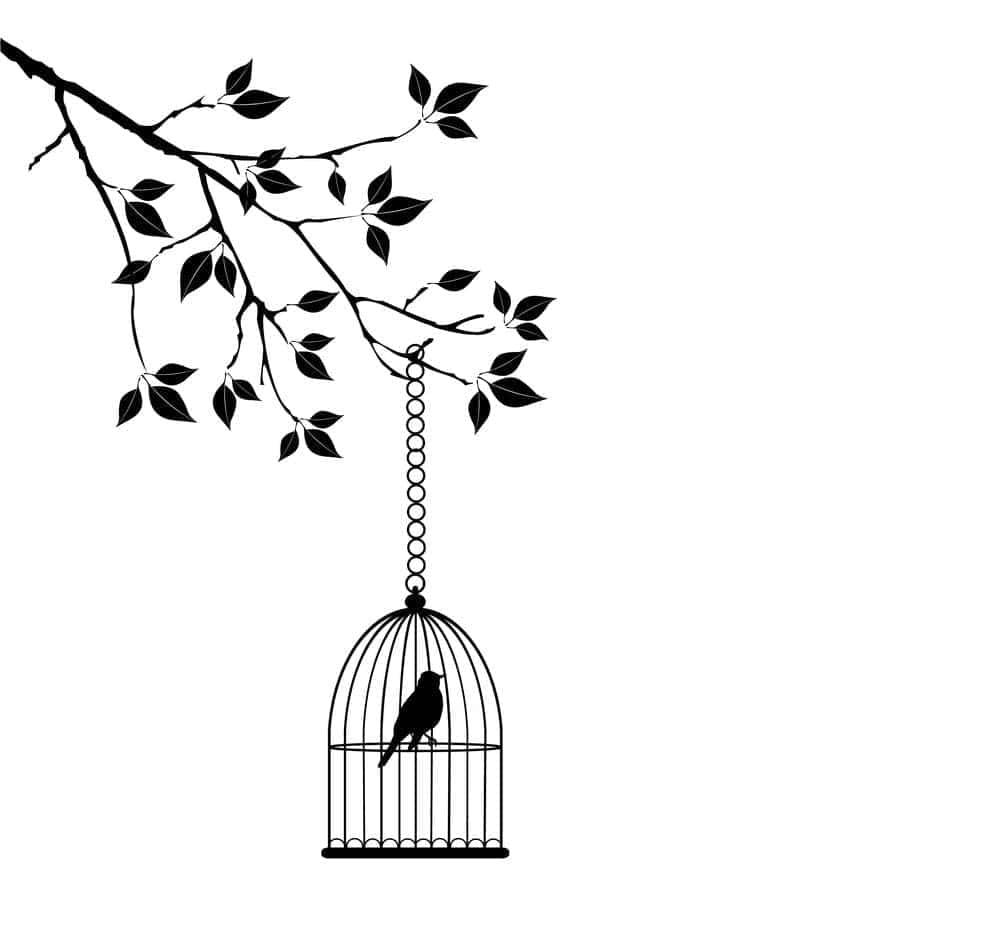 Why Does the Caged Bird in Maya Angelou's Poem Sing