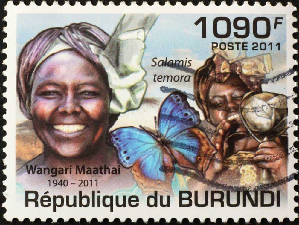 What Challenges Did Wangari Maathai Face