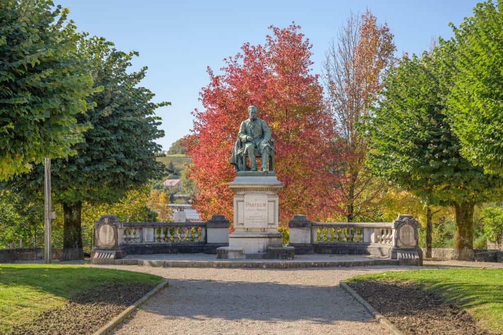 How Did Louis Pasteur Disprove Spontaneous Generation