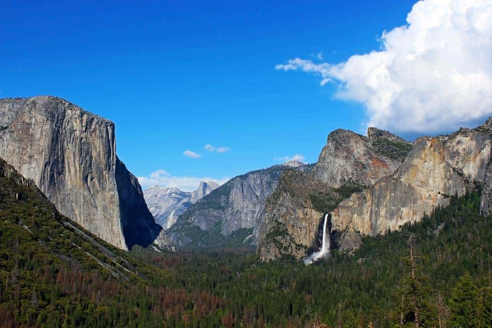 What Is Alex Honnold Known For