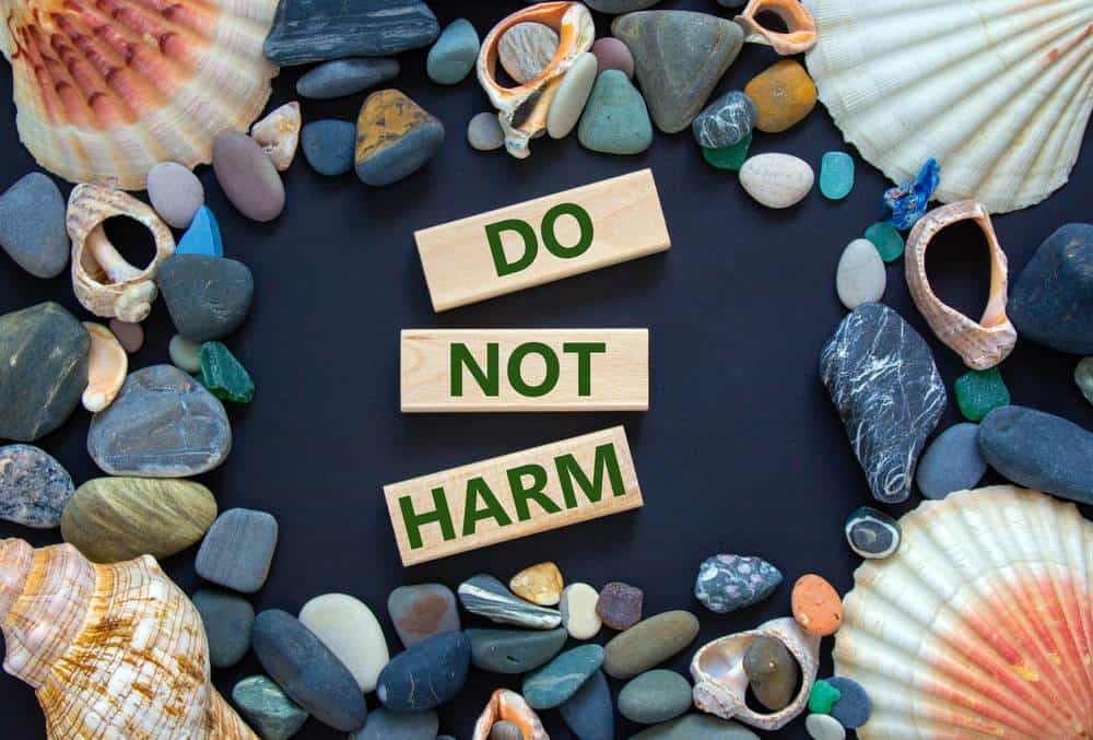 what is Mill's harm principle