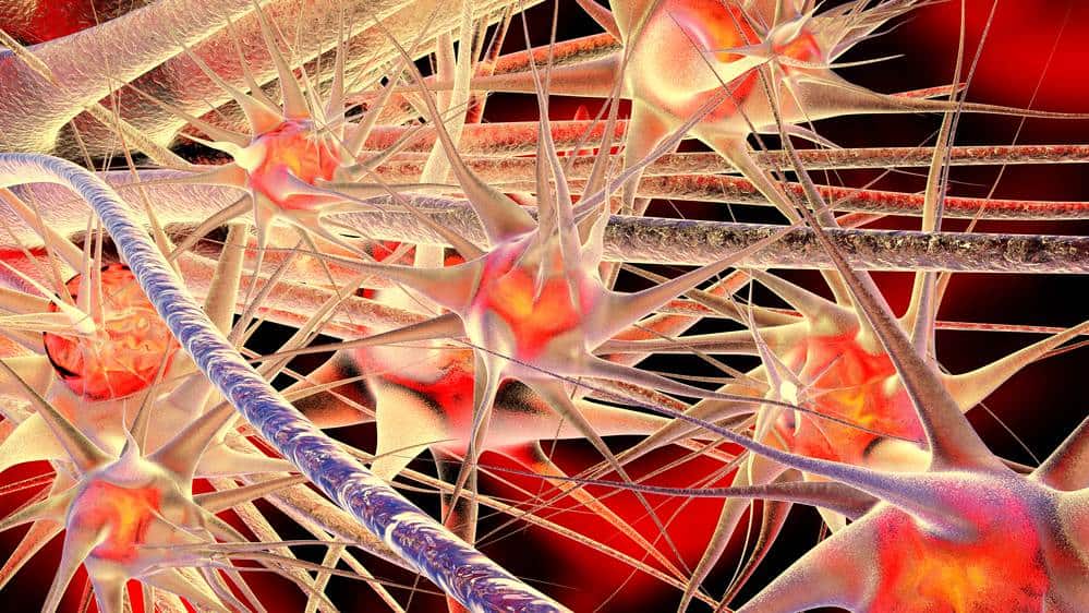 Neuronal Network 